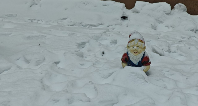 В Калининградской области зима переходит в активное наступление: какой силы морозов ждать городам региона 