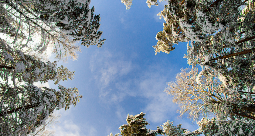 Не выходи налегке, делай запас тепла: народные приметы и запреты на 31 января - как не испортить себе день