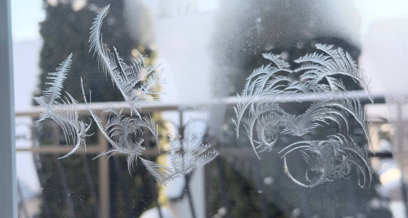 Калининград накроет ледяная тишина: что принесут самые холодные ночи зимы