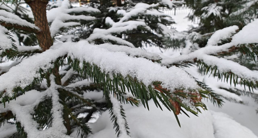 Мороз вновь наступает: в Калининградская области в воскресенье будет  до –16 градусов, подробный прогноз погоды на 1 февраля