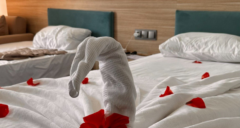 Так нужно ли гладить постельное белье после стирки: эксперты поставили жирную точку в этом вопросе