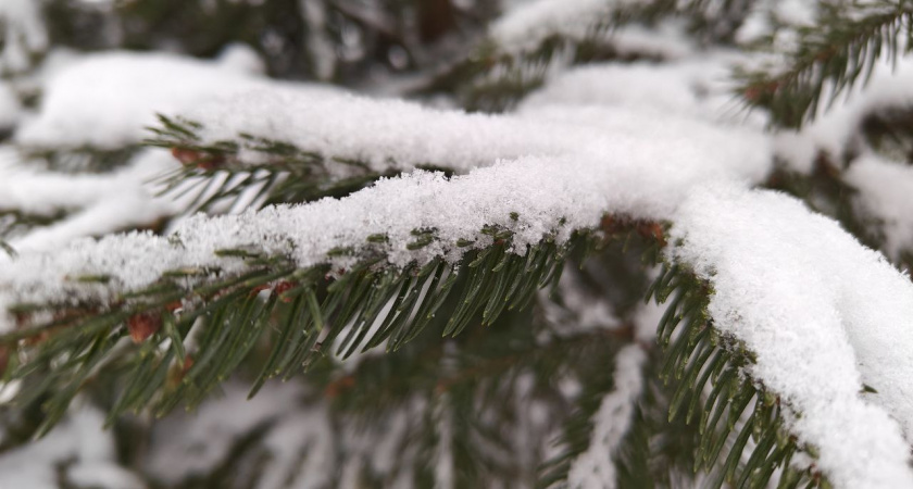 Чем дальше, тем холоднее: в ночь на понедельник в Калининграде ударят небывалые морозы до -30