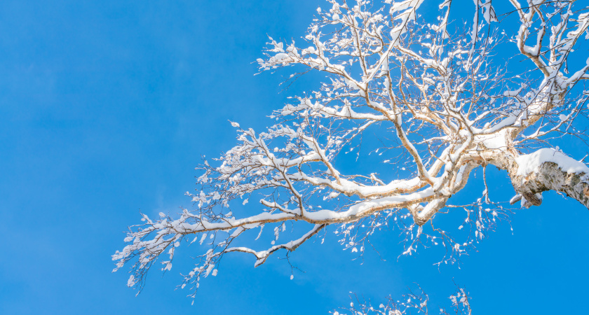 Не поддавайся раздражению, слушай погоду: народные запреты 2 февраля - как не испортить день и год