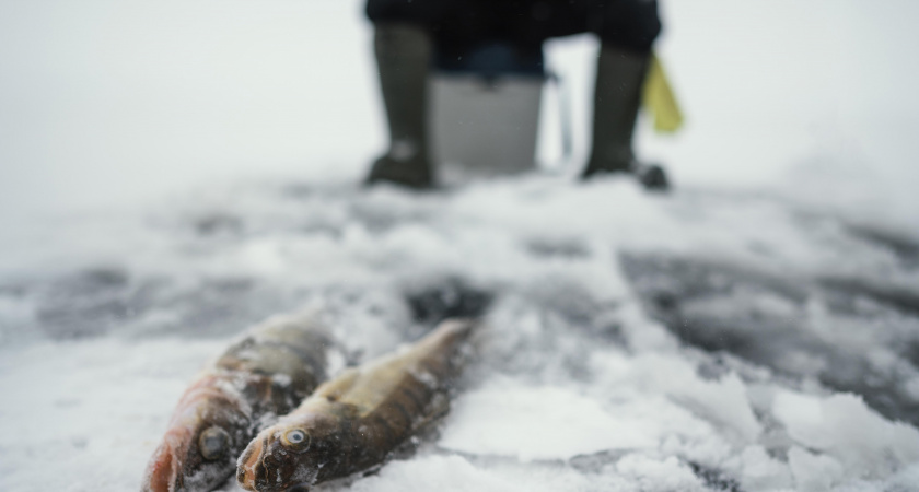 Лунный календарь рыболова на февраль 2026: эти даты могут принести рекордный улов