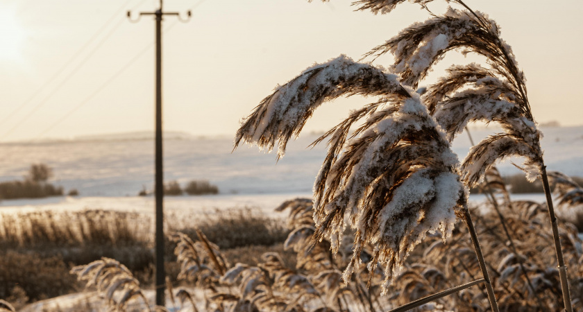 Народные приметы и запреты на 3 февраля: что нельзя делать и как привлечь удачный день