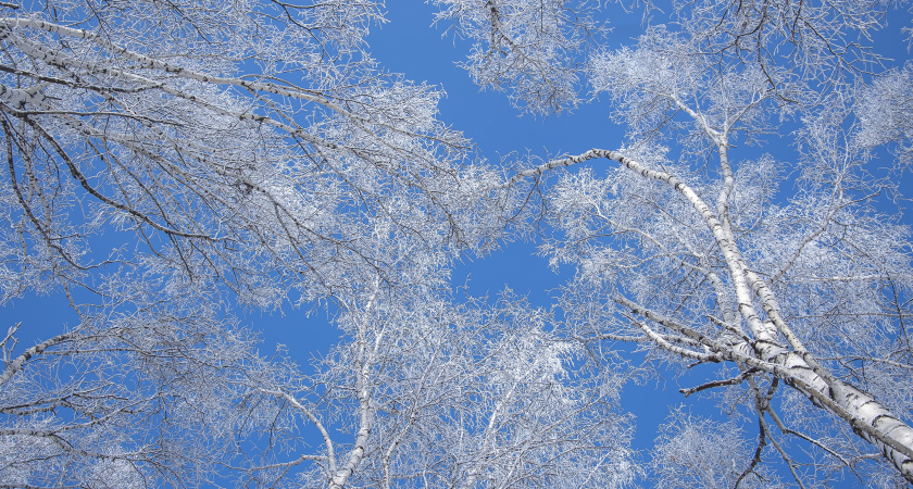 Не игнорируй погоду, остуди вспыльчивость: что нельзя делать по народным приметам 4 февраля и почему это важно