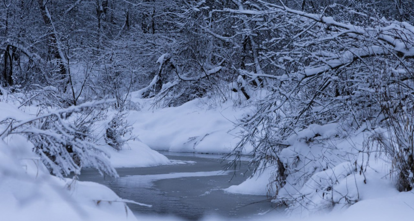 Погода в Калининградской области: от ледяного дождя до сильных морозов за неделю