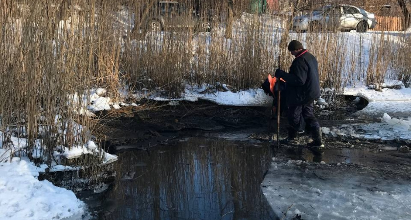 Спасение замерзающих: в Балтийске прорубили лед в канале, чтобы помочь птицам