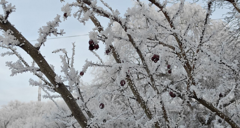 Снежная пауза с ледяным дождем и резкий возврат морозов: синоптики предупредили Калининградскую область о погодном развороте