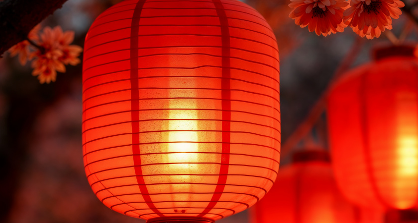 Начало Года Огненной Лошади: пять действий, которые сулят успех уже в феврале - успейте до 17 числа