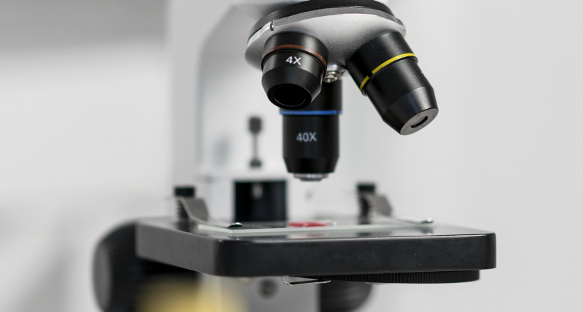 В Калининграде уменьшается число учёных - что происходит