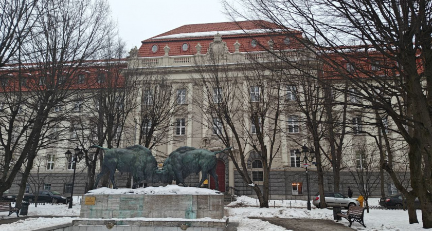 Калининградские выходные под знаком зимы: какой погоды ждать в субботу и воскресенье