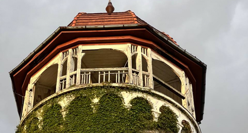 В Светлогорске стартует проект на 33,8 млн — какой сквер ждёт обновление