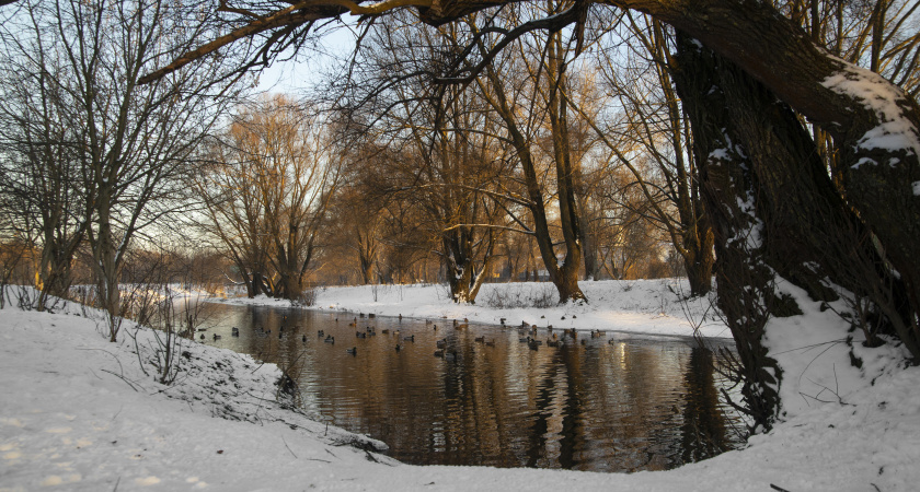Не начинай рискованных дел, не выбрасывай хлам: приметы и запреты 8 февраля