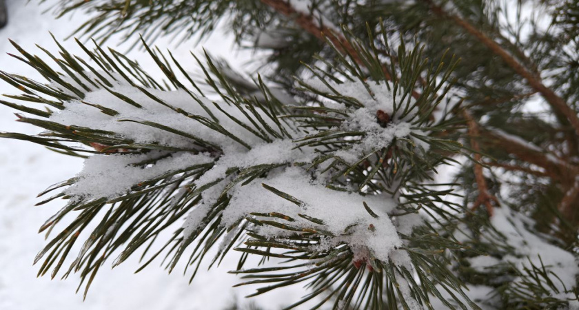 Планируя выходы, одевайтесь теплее в Калининграде: ветер и вечернее похолодание в воскресенье