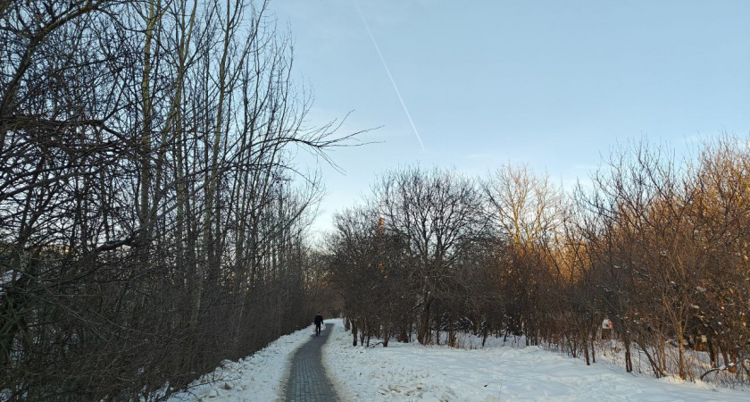 Лютый мороз, солнце и обманчивая оттепель: на следующей неделе зима резко сменит настроение 