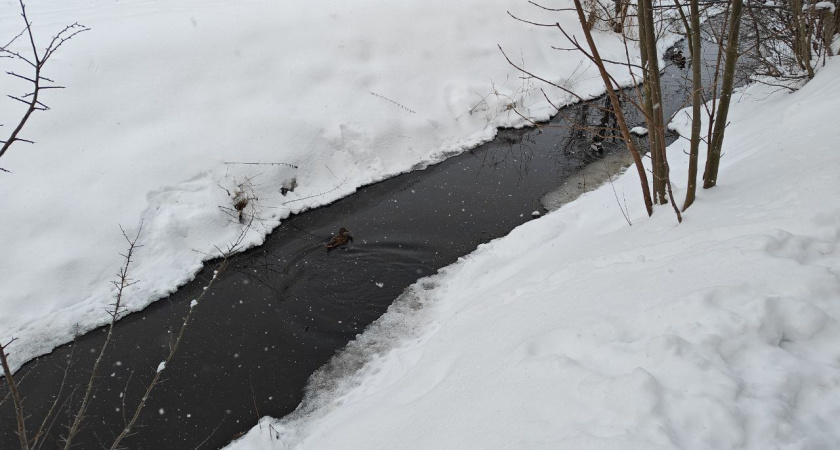 Метеопрогноз для Калининградской области: морозы сдают позиции перед атакой атлантического тепла