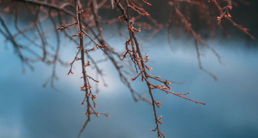 Не ругай дом и наведи порядок: народные приметы и запреты на 10 февраля