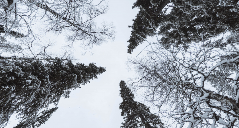 Не ссорься и не начинай авантюры, но наведи порядок: народные приметы и запреты на 11 февраля