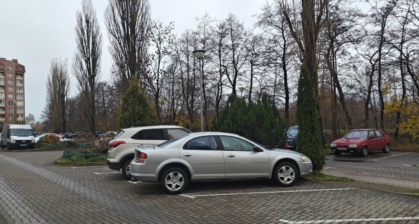 Должен ли водитель в припаркованном автомобиле предъявлять инспектору ГАИ документы - автоюристы объяснили