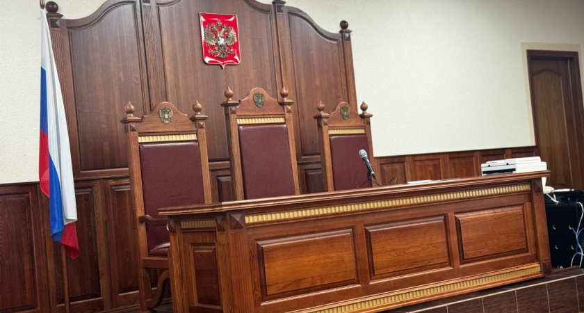 В Правдинске суд обязал ветслужбу и школу заплатить девочке, пострадавшей от укуса бездомной собаки