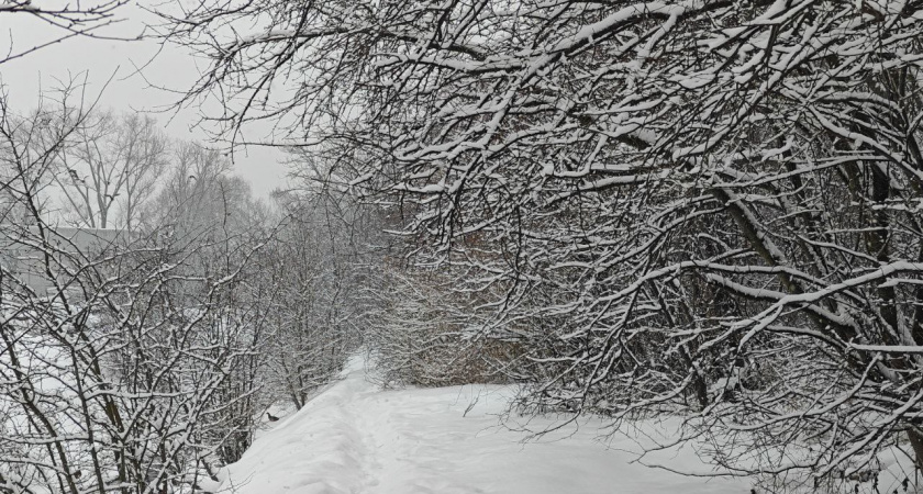 В Калининградской области 13 февраля погода сломает сценарий — от плюса до гололёда за полдня