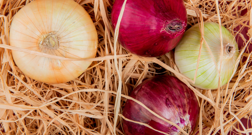 Не оставляй дом в хаосе, не игнорируй здоровье: народные приметы и запреты 20 февраля