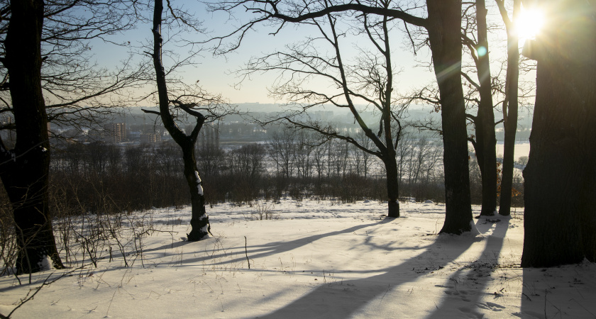 Не хвастайся достатком, не корми «мышей» проблем: народные приметы и запреты на 14 февраля, Трифона-мышегона