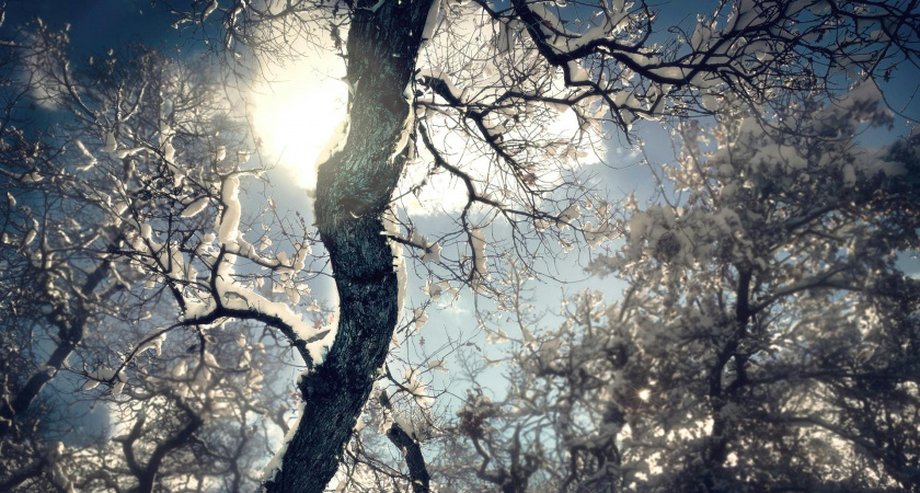 Не геройствуй в холод, не спеши начинать новое: народные приметы и запреты на 17 февраля, Николу Студеного