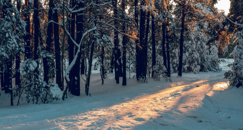 Не ругайся из-за денег, не начинай авантюр: народные приметы и запреты на 18 февраля