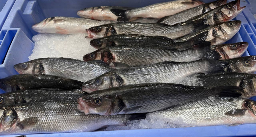 Врачи назвали лучшую рыбу для пожилых - недорогая и очень вкусная: ее рекомендует диетолог Соломатина