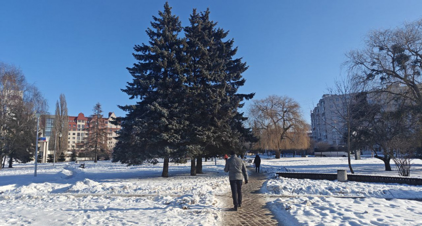 3 черты умного человека, которых нет у недалеких людей: запомните мудрость Михаила Жванецкого