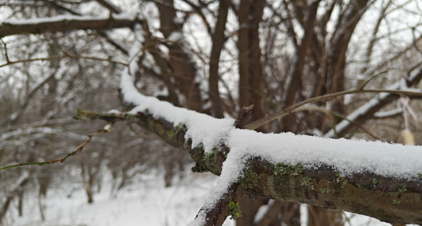 В Калининграде ночь побила 23-летний температурный рекорд: воздух остыл до -28 градусов