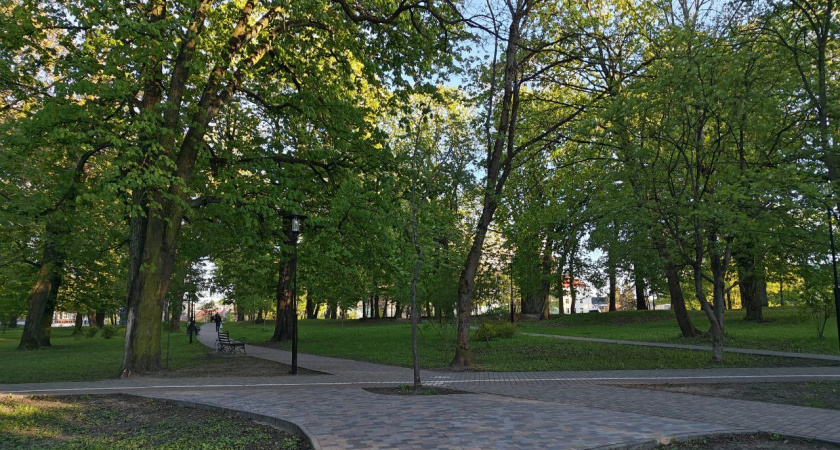 В Калининграде выбрали компанию, которая превратит пустырь на Флотской в зелёную зону