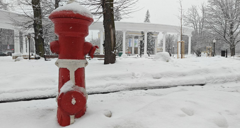 17 февраля в Калининградской области: где снег, а где мороз до -19°С