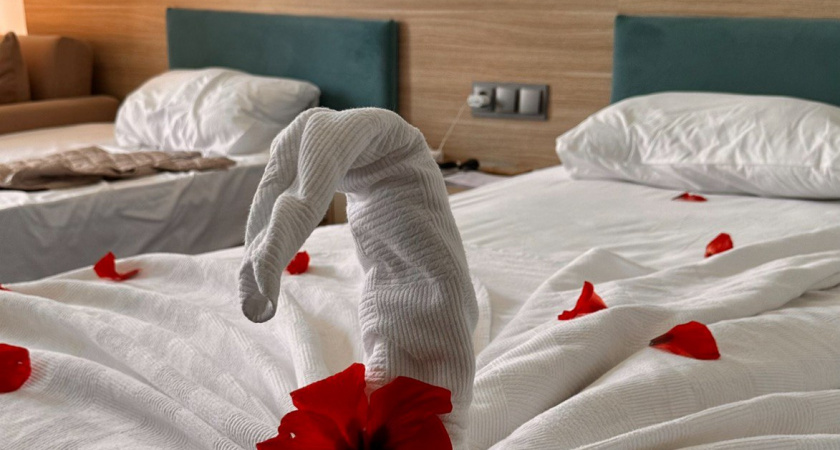 Какой наполнитель для подушки лучше и безопаснее: вот что говорят эксперты