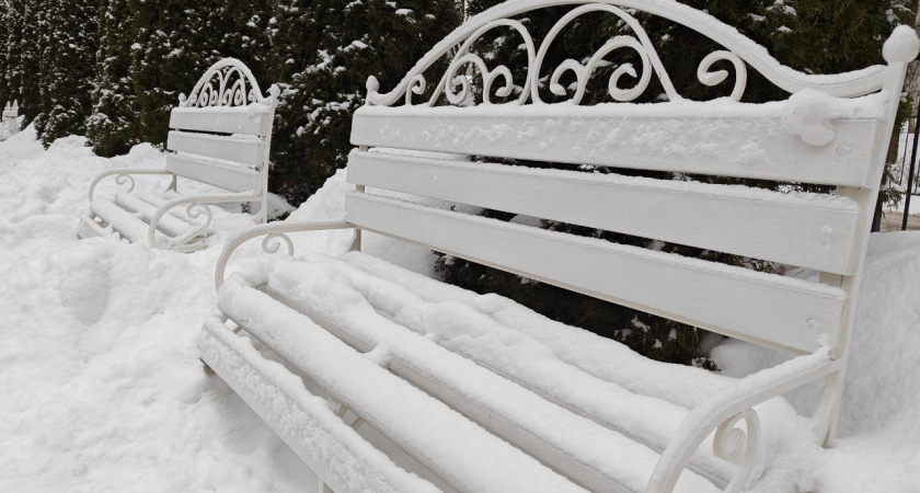 Калининградские улицы чистят подучётные УФСИН: «Чистота» наняла 42 человека