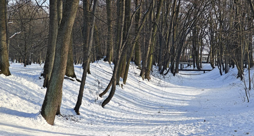 Калининградская область примеряет весну: синоптики обещают плюс