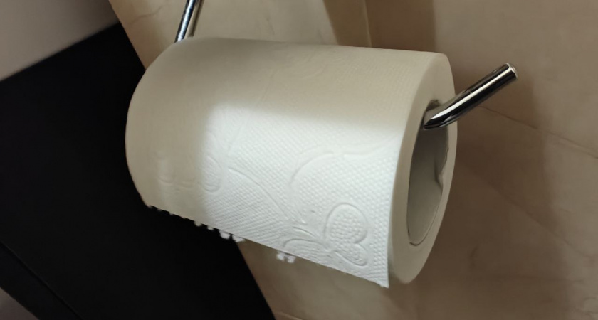 В Европе это уже давно норма, а мы только начинаем: почему привычная туалетная бумага уходит в прошлое