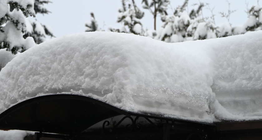 Калининградскую область накрыло рекордным снегом: 46 см в Советске, 42 в Пионерском