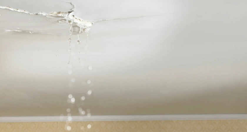 «Готова сама лезть на крышу на 8 месяце беременности»: калининградка сутки борется с водой над детской кроваткой и искрящейся проводкой