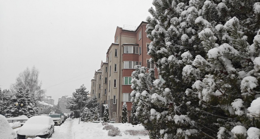 Что ждать от лета 2026 года - ответ может скрываться в погоде конца февраля: народная примета