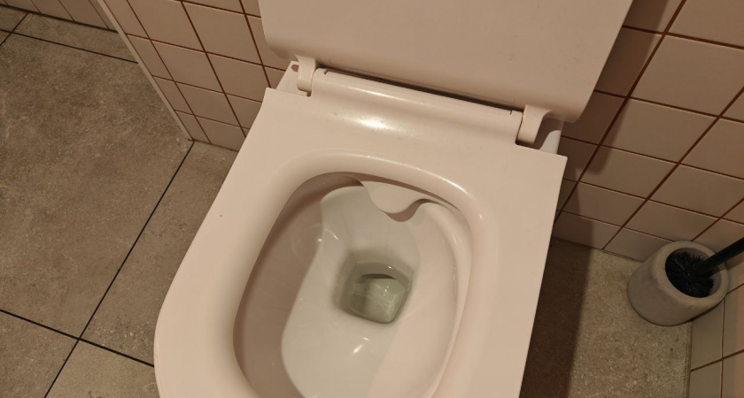 Перед приходом гостей я засыпаю стаканчик этого средства в унитаз: налет, грязь исчезают, а комнату наполняет приятный аромат