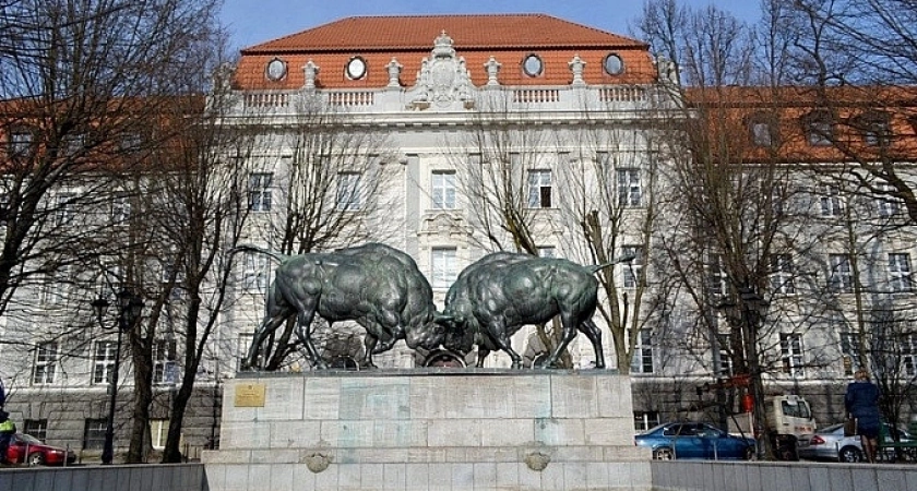 Четыре полосы и три года работ: глава администрации Дятлова рассказала, когда в Калининграде начнется реконструкция Советского проспекта