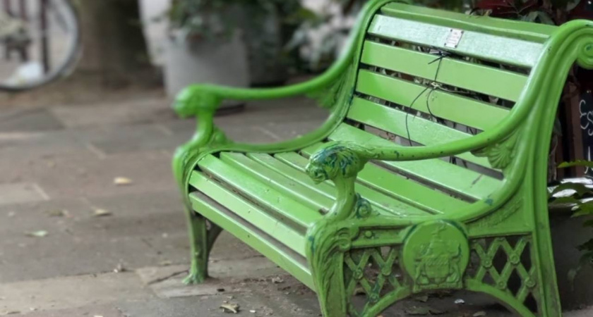 В Балтийске за 63 миллиона благоустроят «Поле чудес» — там поставят лавочки, урны и проведут свет