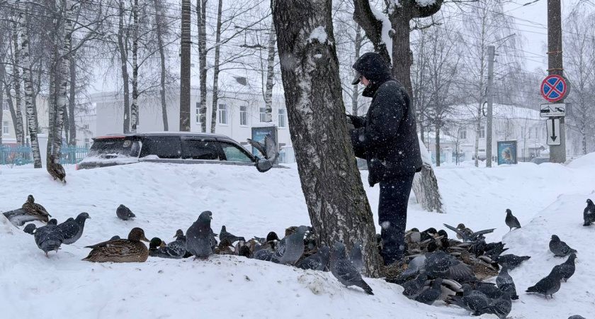 Калининград ждут контрасты: холодные ночи, тёплые дни и тропический воздух к выходным