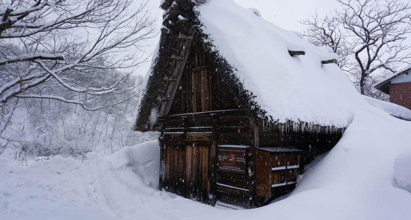 Разложи по полочкам, не завязывай узлы: народные приметы на 26 февраля, Мартынов день