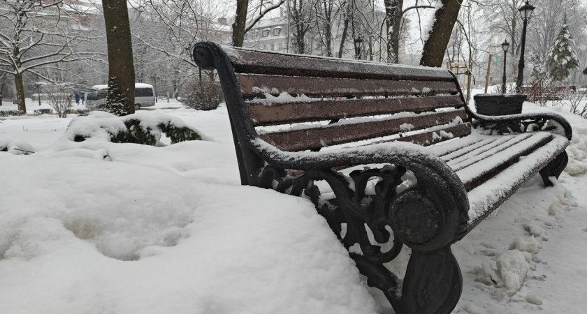 Калининградскую область накроет тропический воздух — синоптики обещают до +7°С