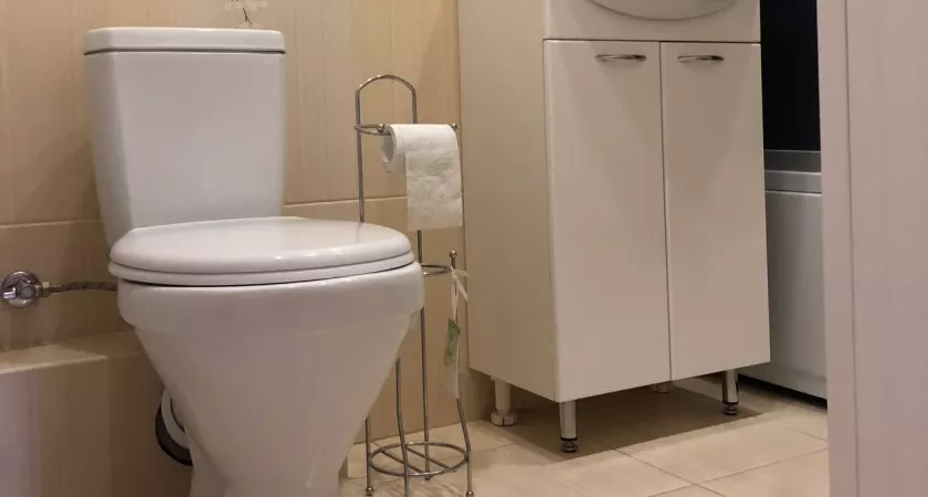 Почему нужно всегда закрывать крышку унитаза - запомните раз и навсегда