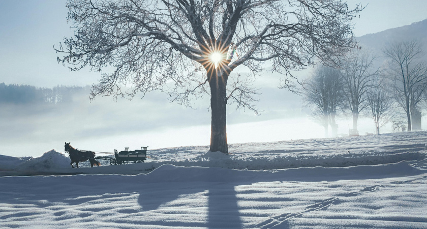 Не выноси мусор, не вспоминай прошлое: народные приметы на 1 марта — Ярилин день